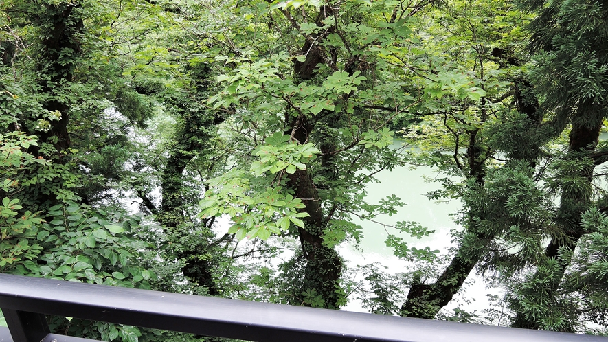 *【当館からの景色】ロビーの窓から見える庄川