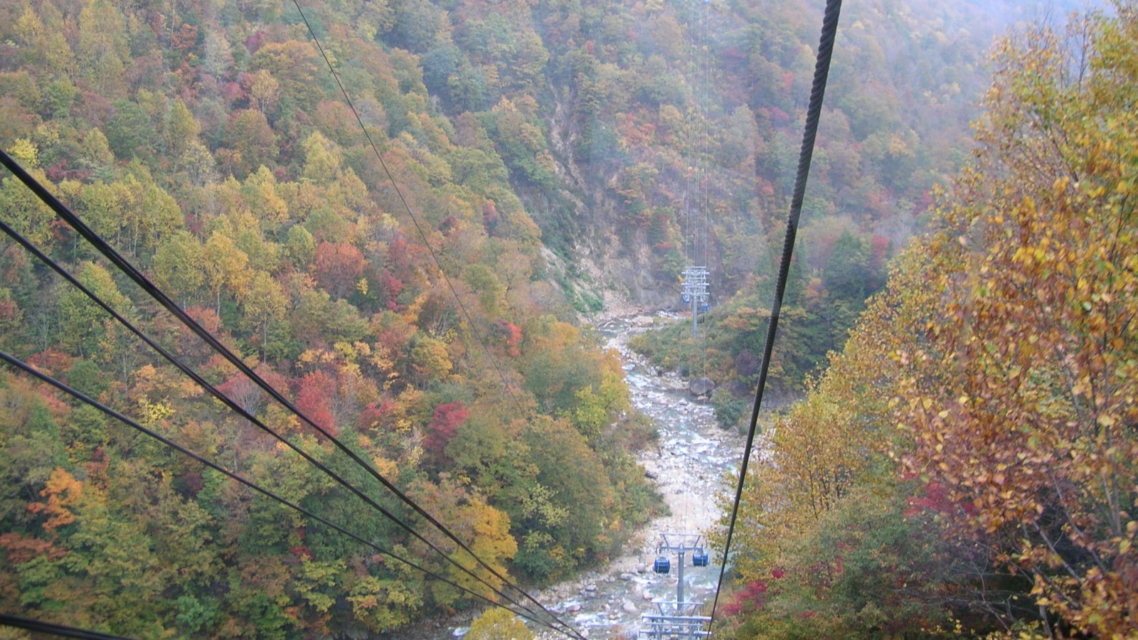 ・周辺・景色_秋_山