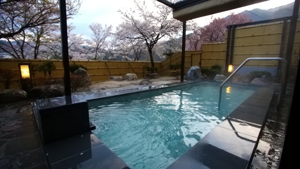 【2食付｜和会席】＜シードルor日本酒 選べる特典＞伊那市の人気酒とコース料理で優雅なひととき