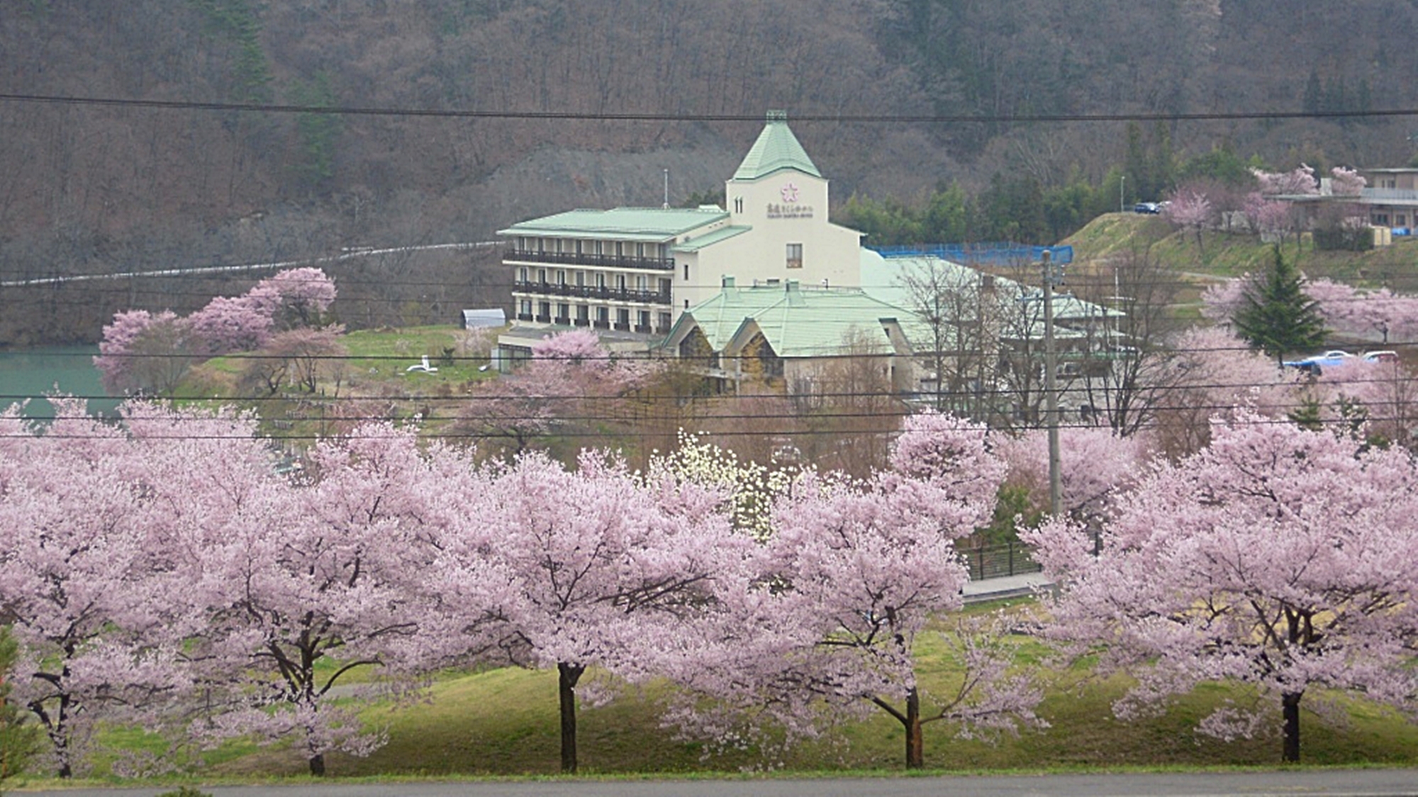 *【外観】当ホテルは桜に囲まれた湖畔に佇んでいます