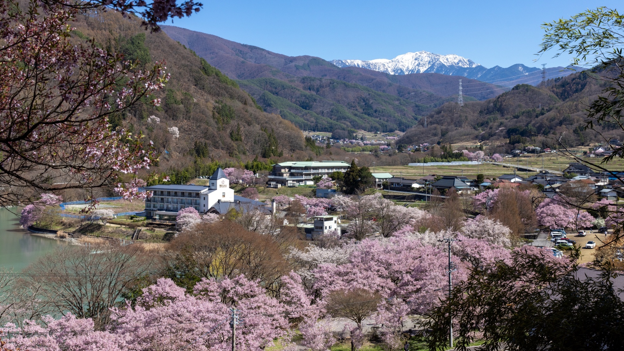 *【外観】春には淡紅色の花々が周囲を華やかに彩ります