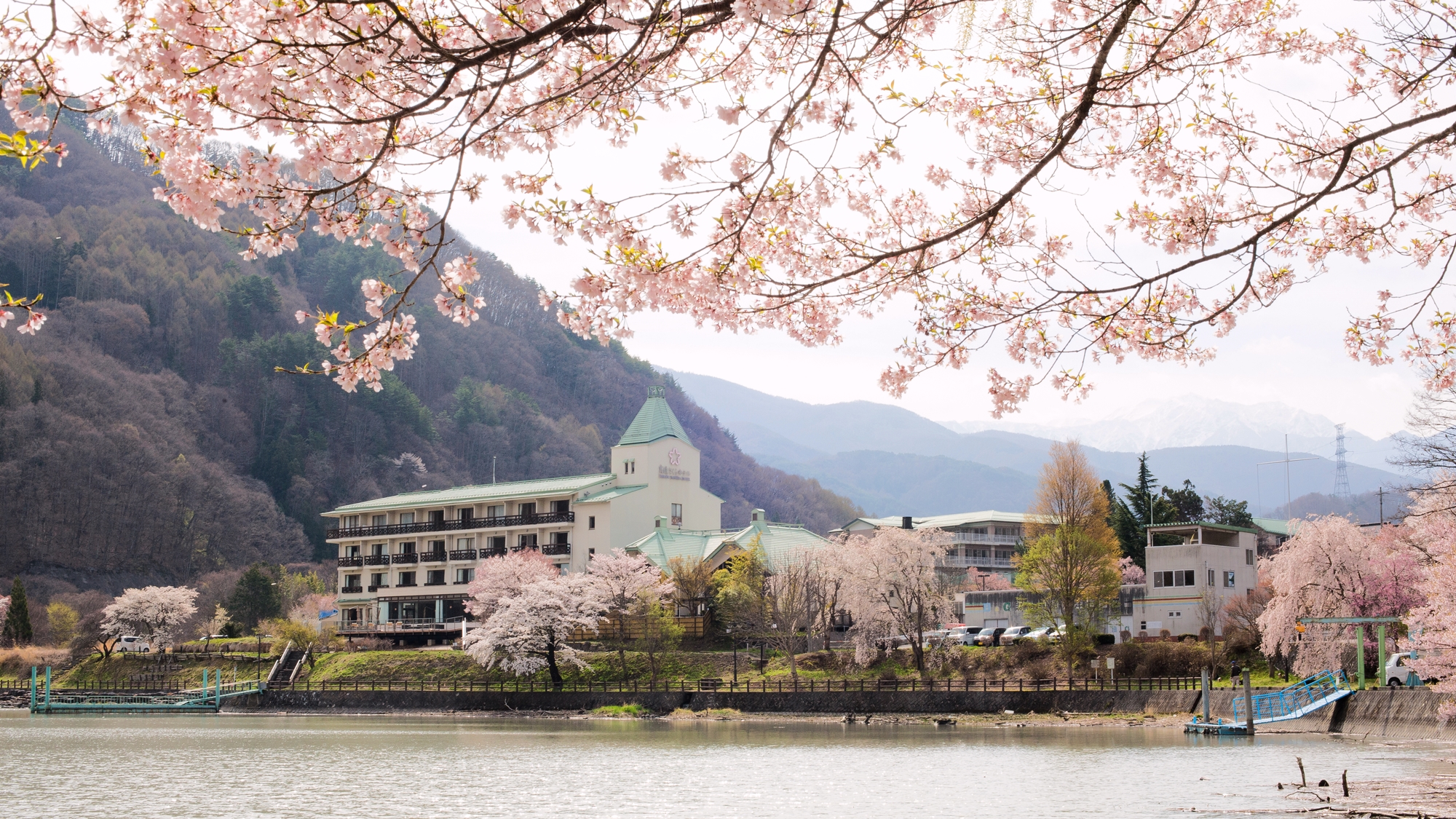 *【外観】桜の季節になると湖の周りの桜が一斉に咲き乱れます