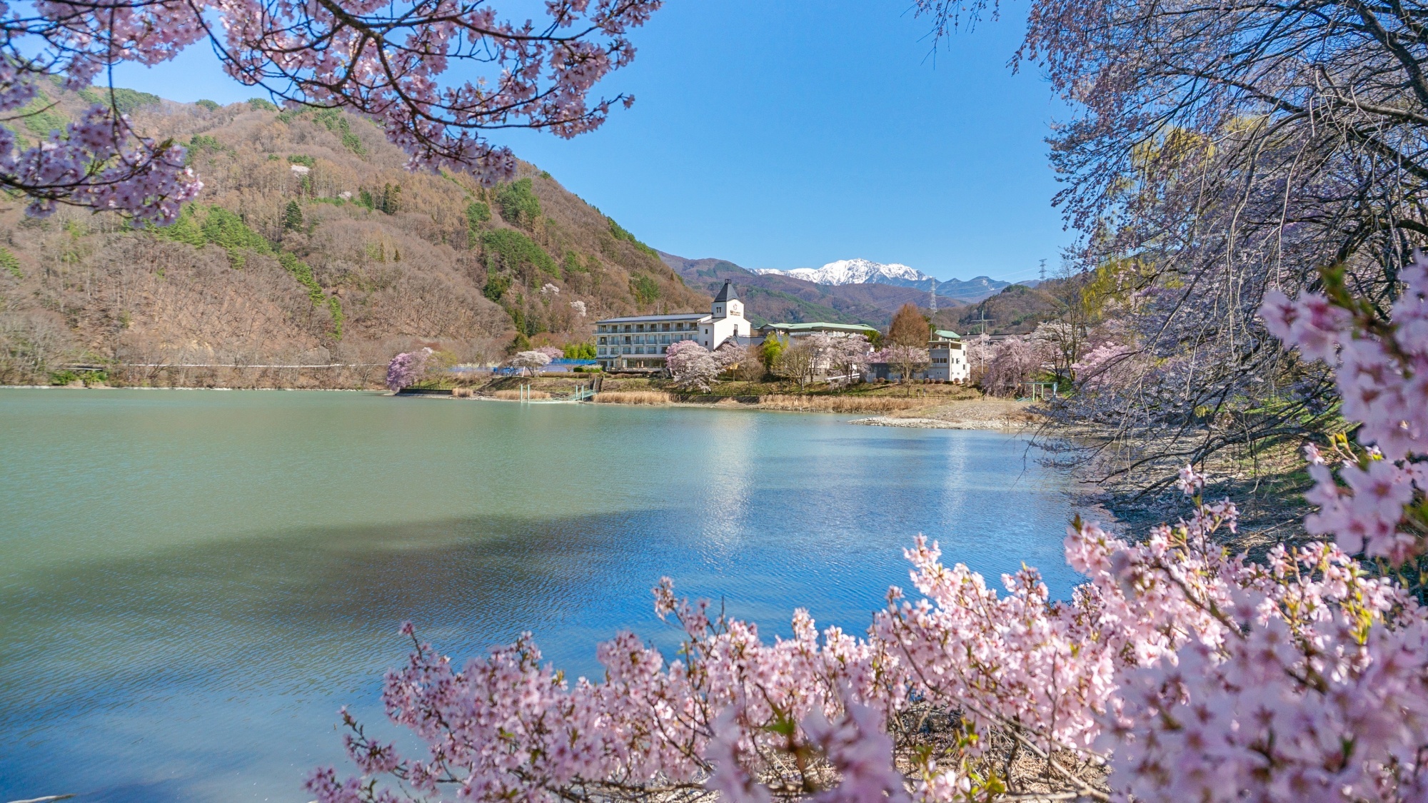 *【外観】春には淡紅色の花々が周囲を華やかに彩ります