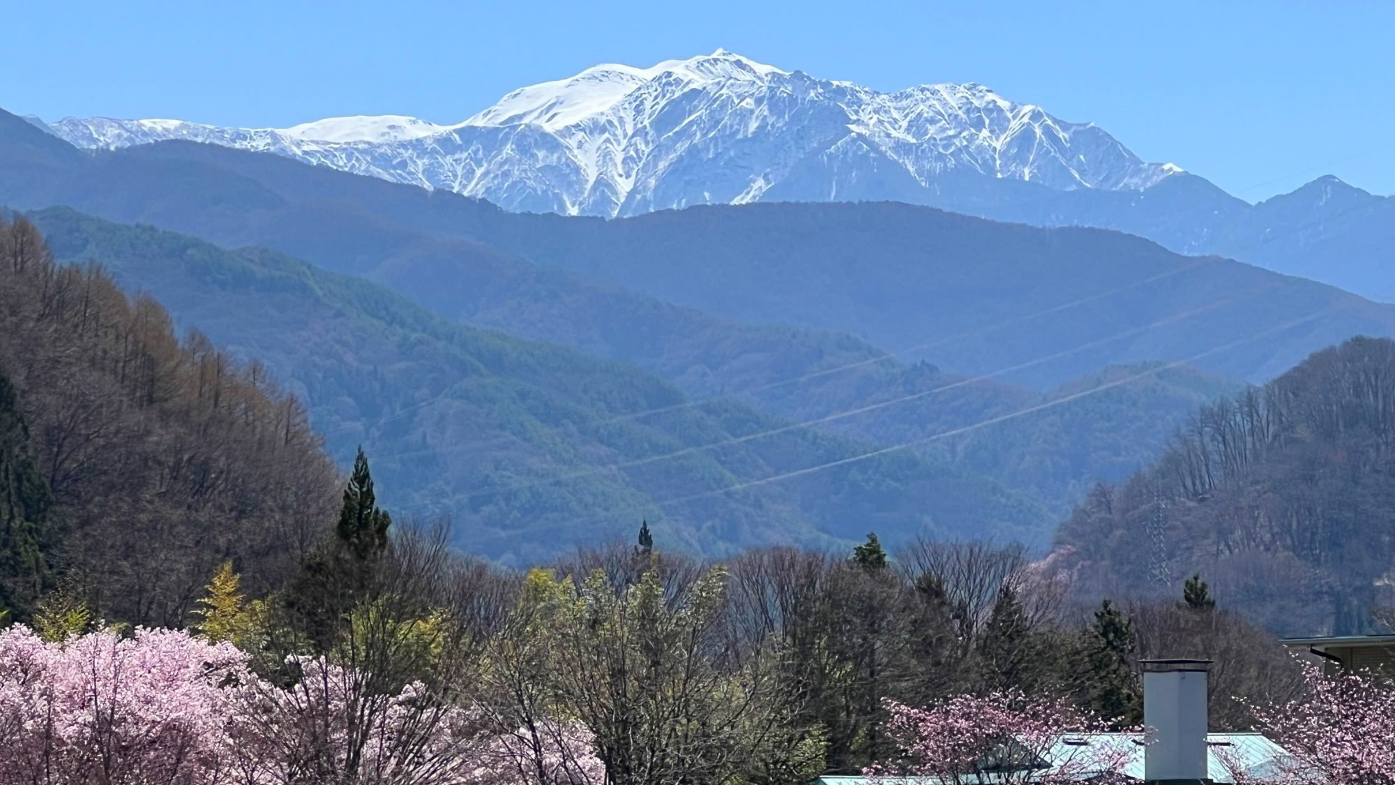 *【周辺】南アルプスに囲まれ、桜の季節には湖と相まって息を呑む絶景が広がっております