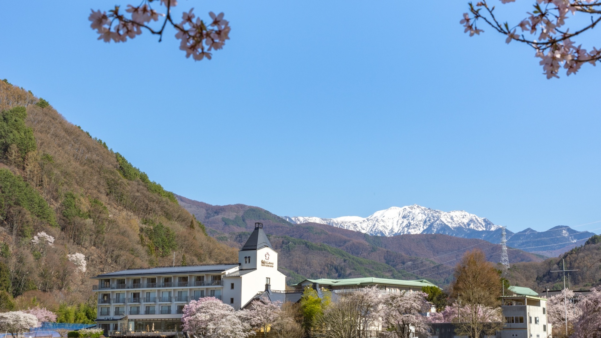*まだ雪が残る山並みと青空、薄紅色の桜との美しいコントラストをお楽しみください