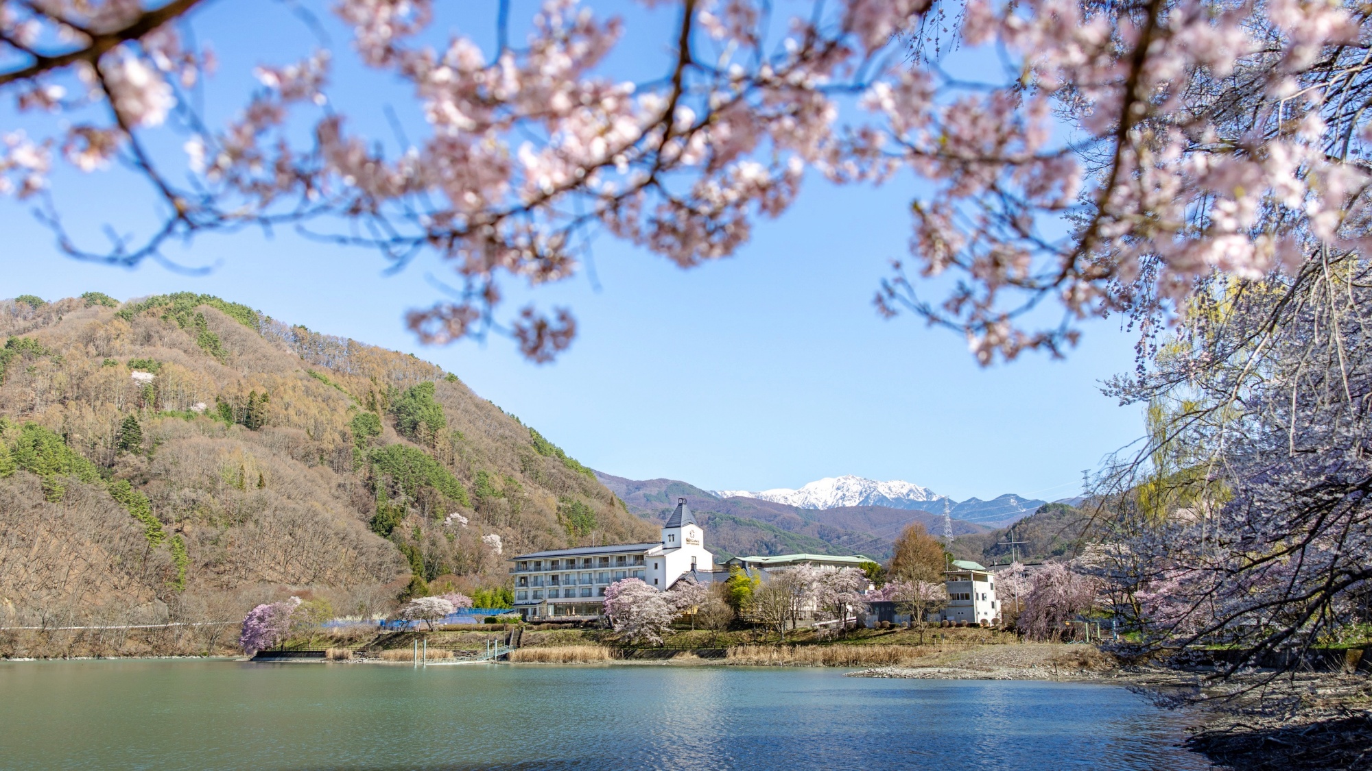 *【外観】春には淡紅色の花々が周囲を華やかに彩ります
