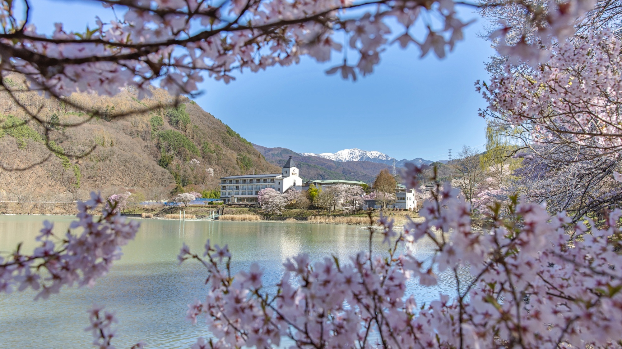 *【外観】当ホテルは桜に囲まれた湖畔に佇んでいます