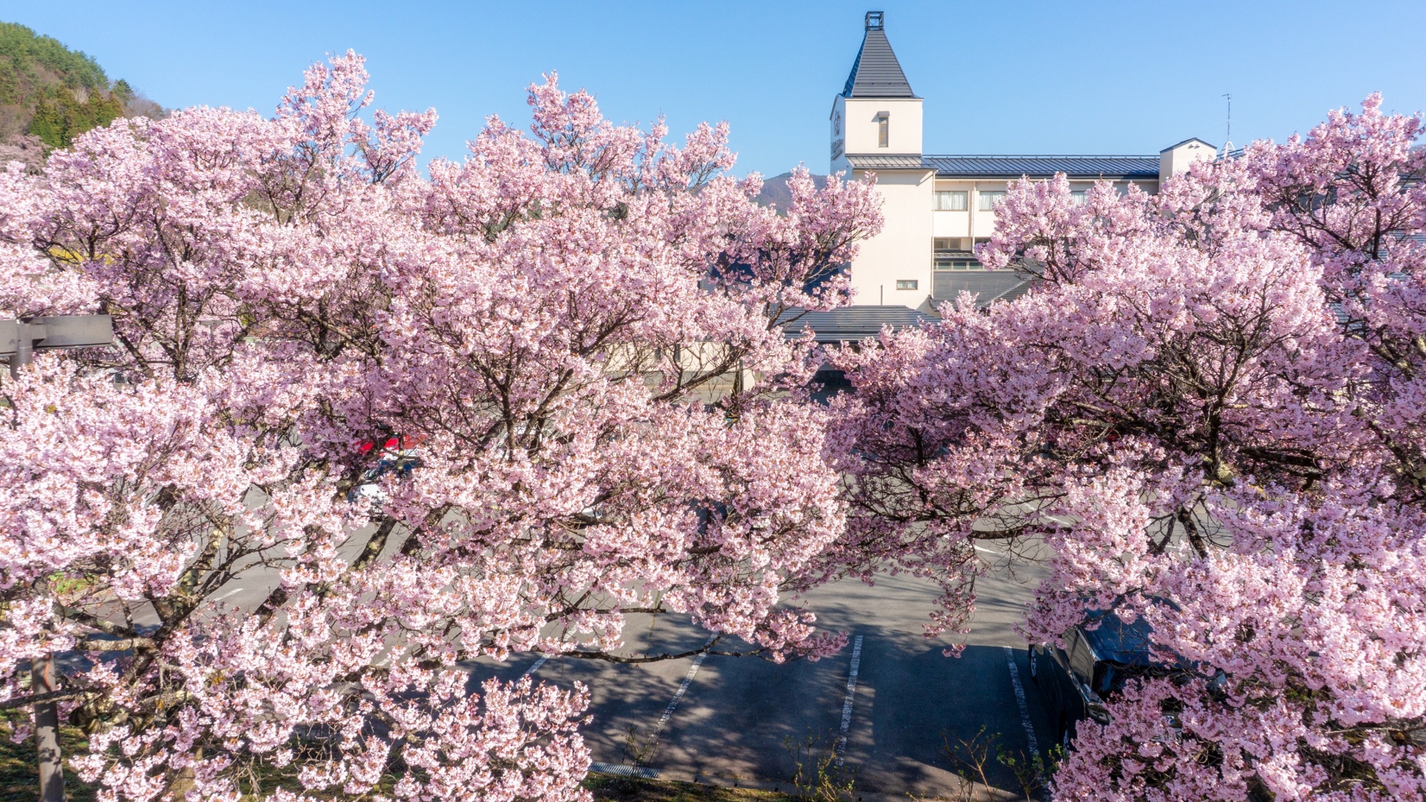 *【外観】桜と湖と南アルプス、桜の季節には息を呑む絶景が広がっております