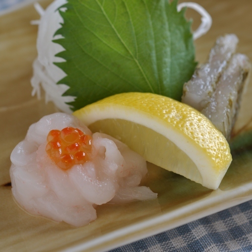 Sashimi of white shrimp