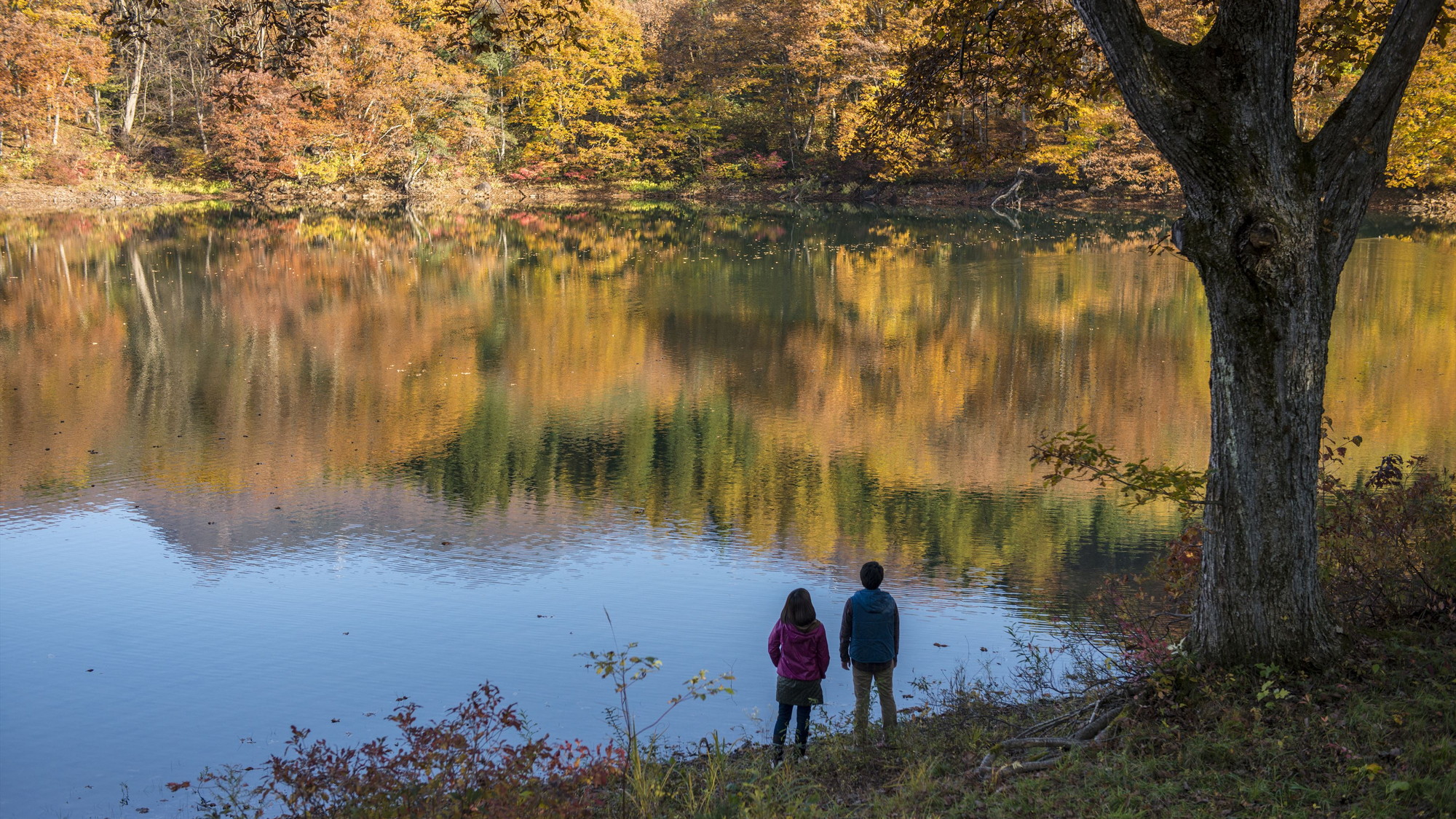 【鴫の谷地沼】当館から車で5分、一周1.2kmの散策道。周囲の紅葉と、水面に映る色づいた山々が見事♪