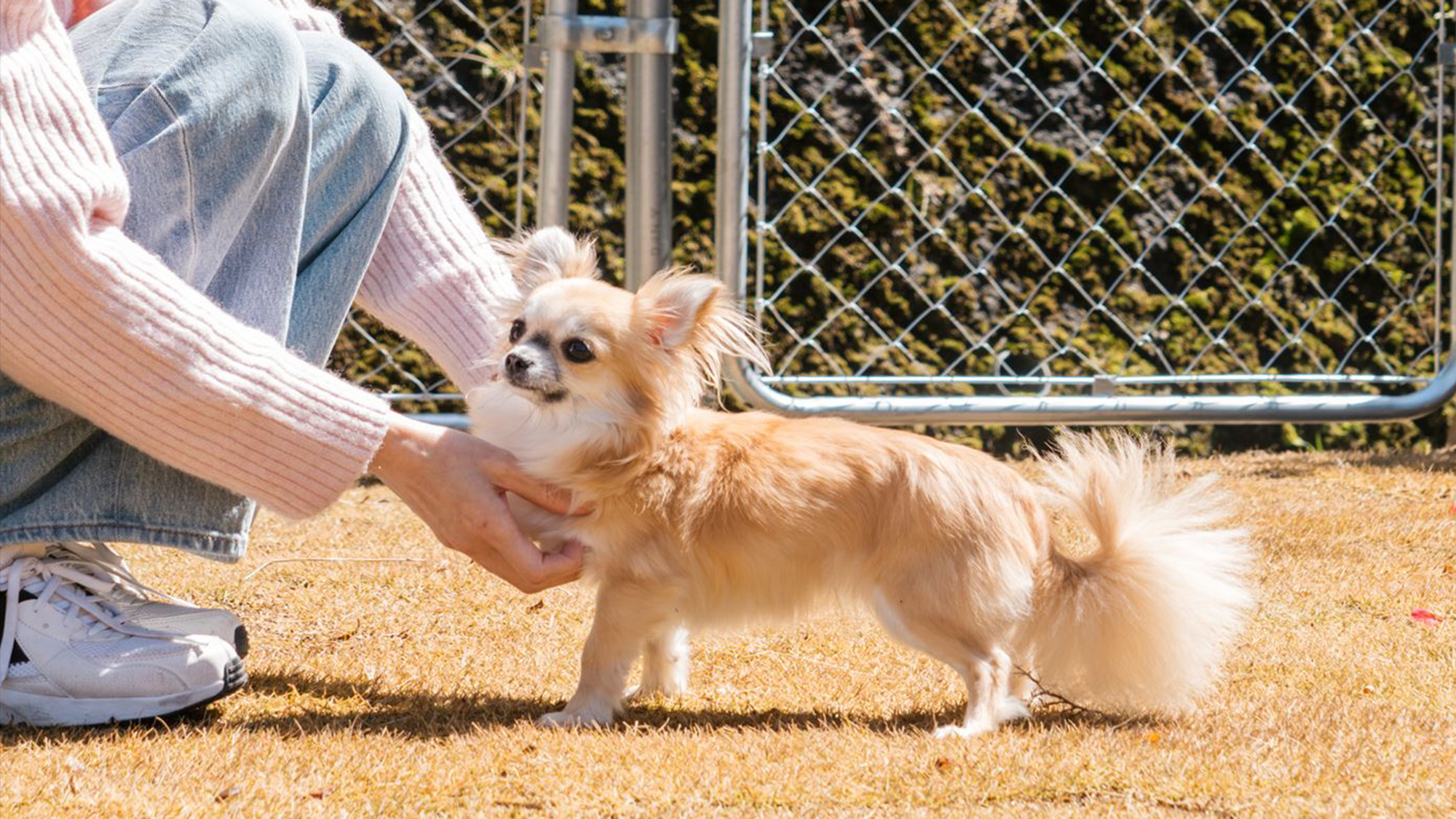 【コテージ専用ドッグラン】