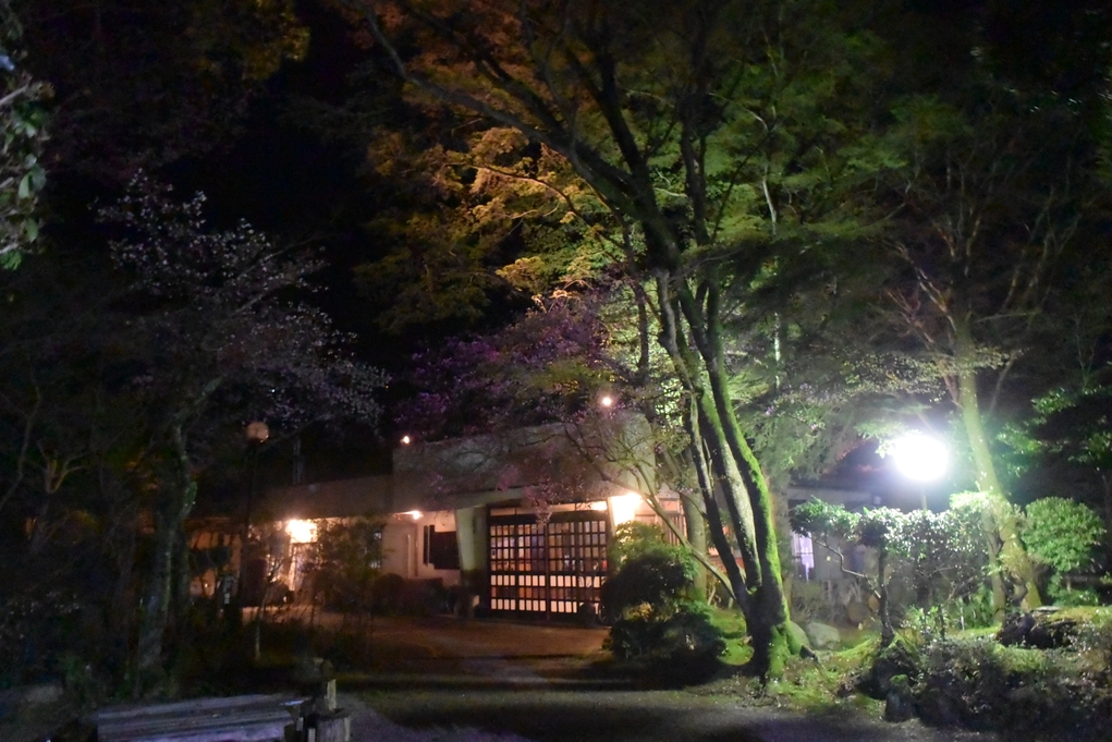秋の吉野♪吉野産松茸料理で和む吉野満喫プラン♪