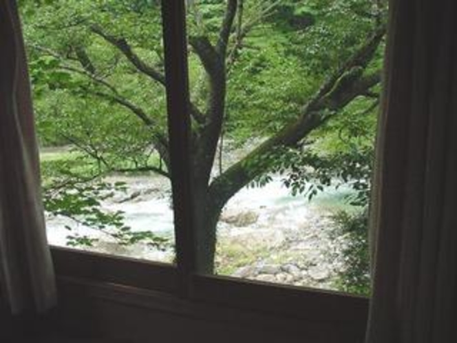 お部屋から清流