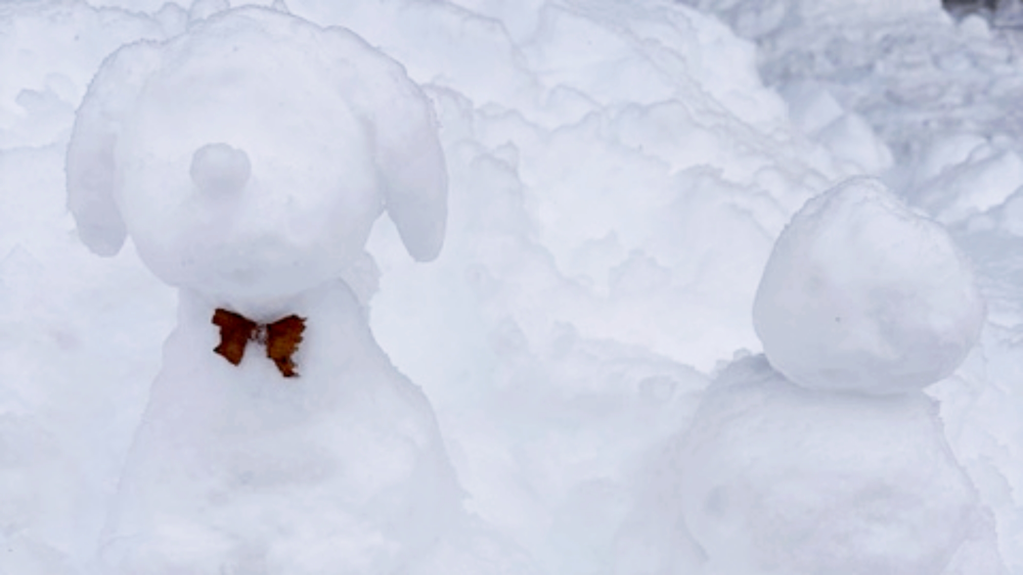 *かわいらしい雪だるま、冬ならではの光景です