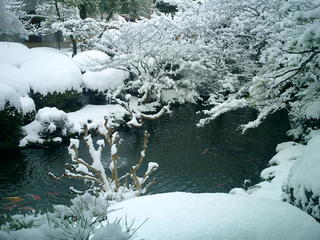 日本庭園（冬）