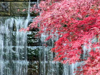日本庭園（秋）