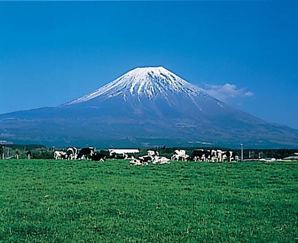 朝霧高原