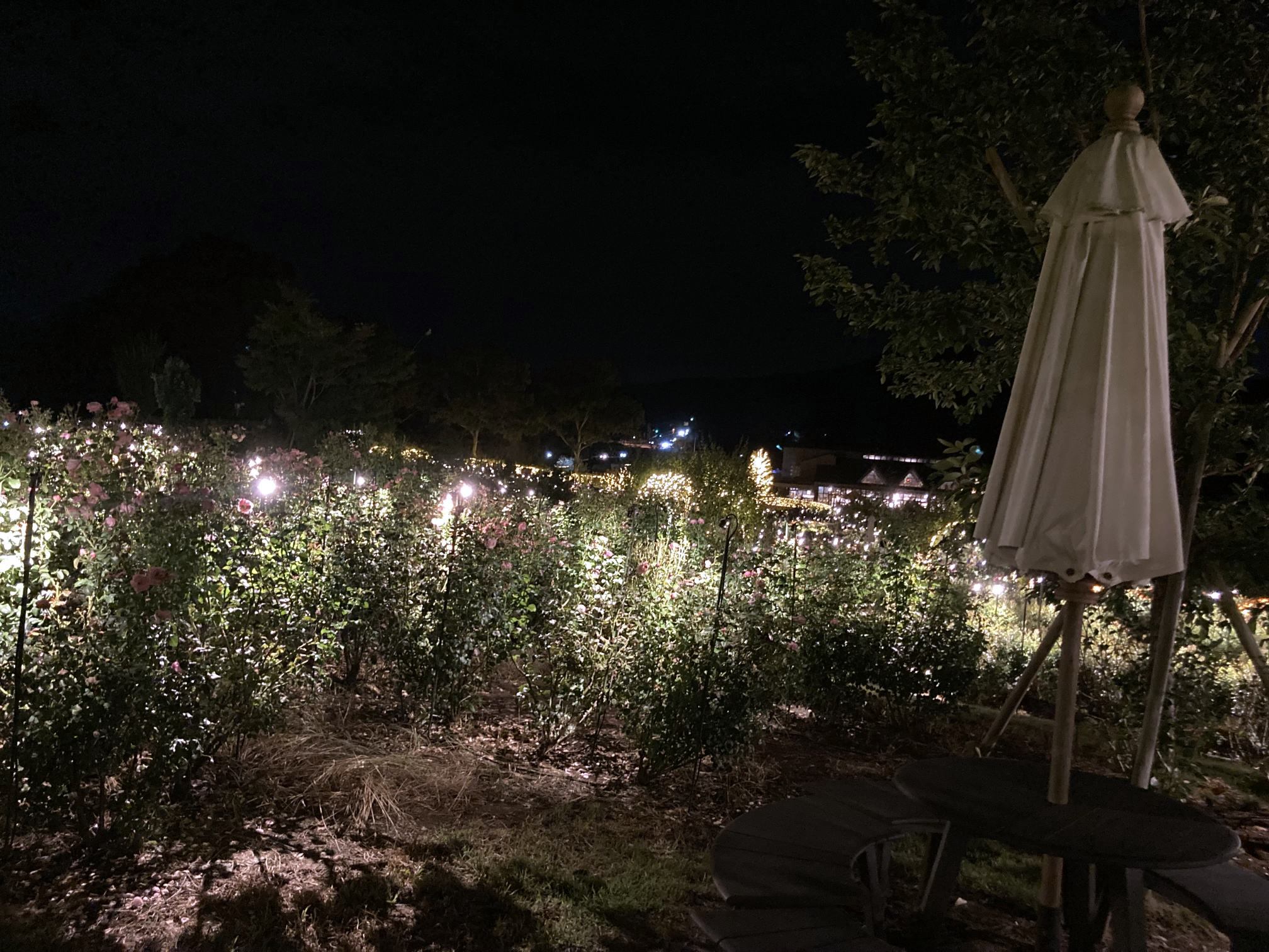 【まだ間に合う冬イルミ＆満天の星空満喫プⅡ】 素泊まり