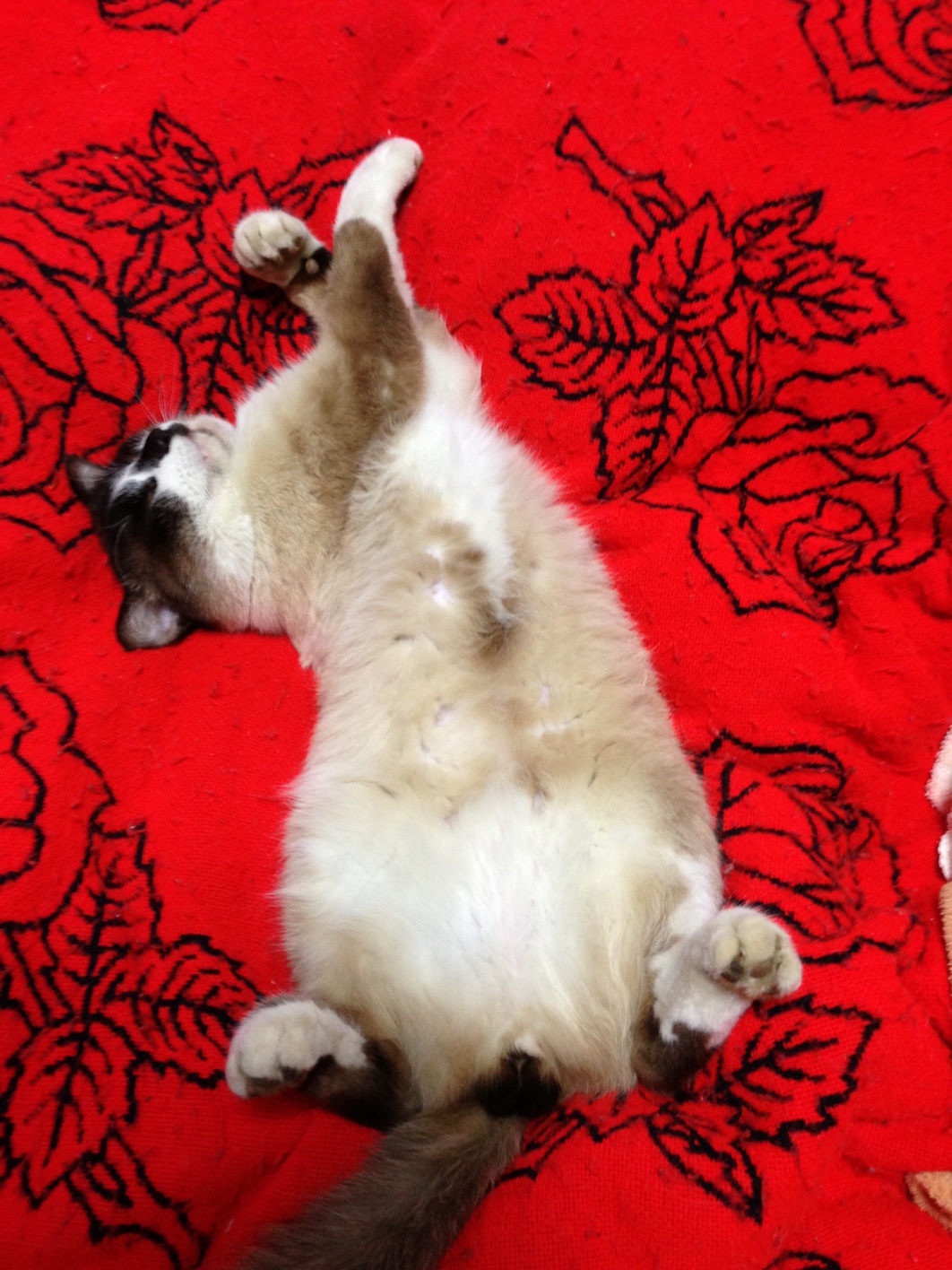 【卵ご飯の朝食付】朝食は軽く済ませたい人におすすめ！パパっと食べて1日をスタート