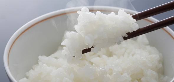 【朝食付】 “特別栽培米”南魚沼産コシヒカリ食べ放題！おかわり必至です