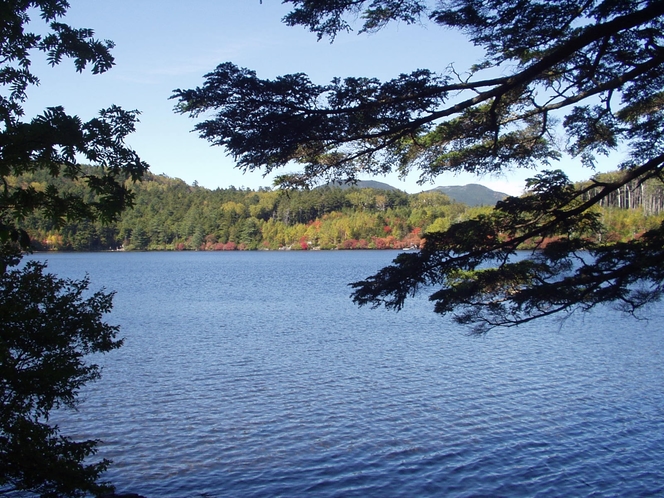 白駒の池は、日本最大の天然湖です。