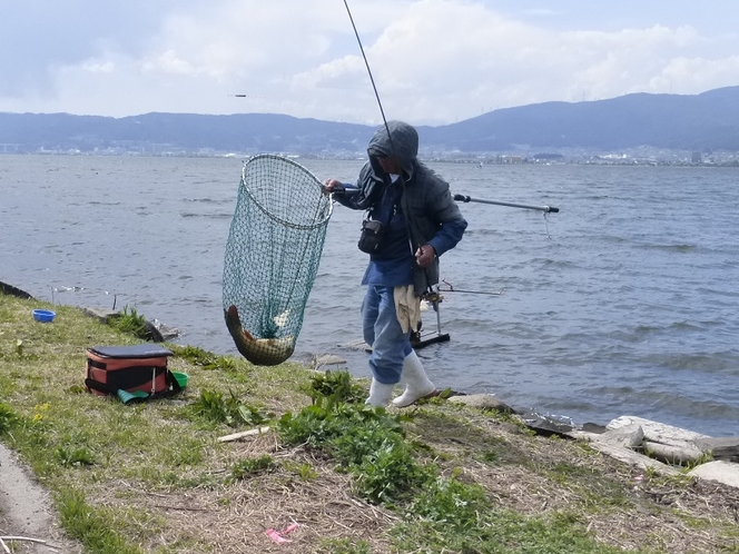諏訪湖で大型の鯉釣りを目の当たりにしました