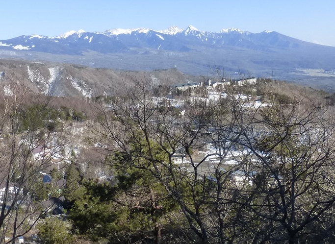 車山高原の美しい樹氷