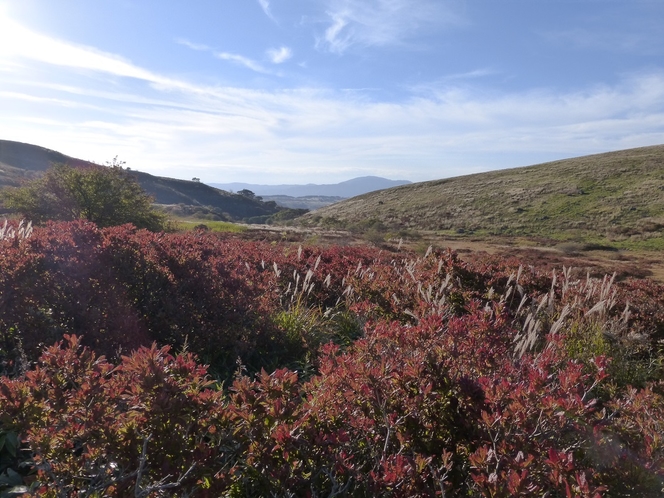 車山湿原の紅葉と鷲ヶ峰