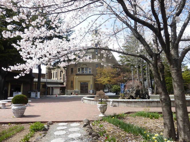 片倉温泉の桜が満開です