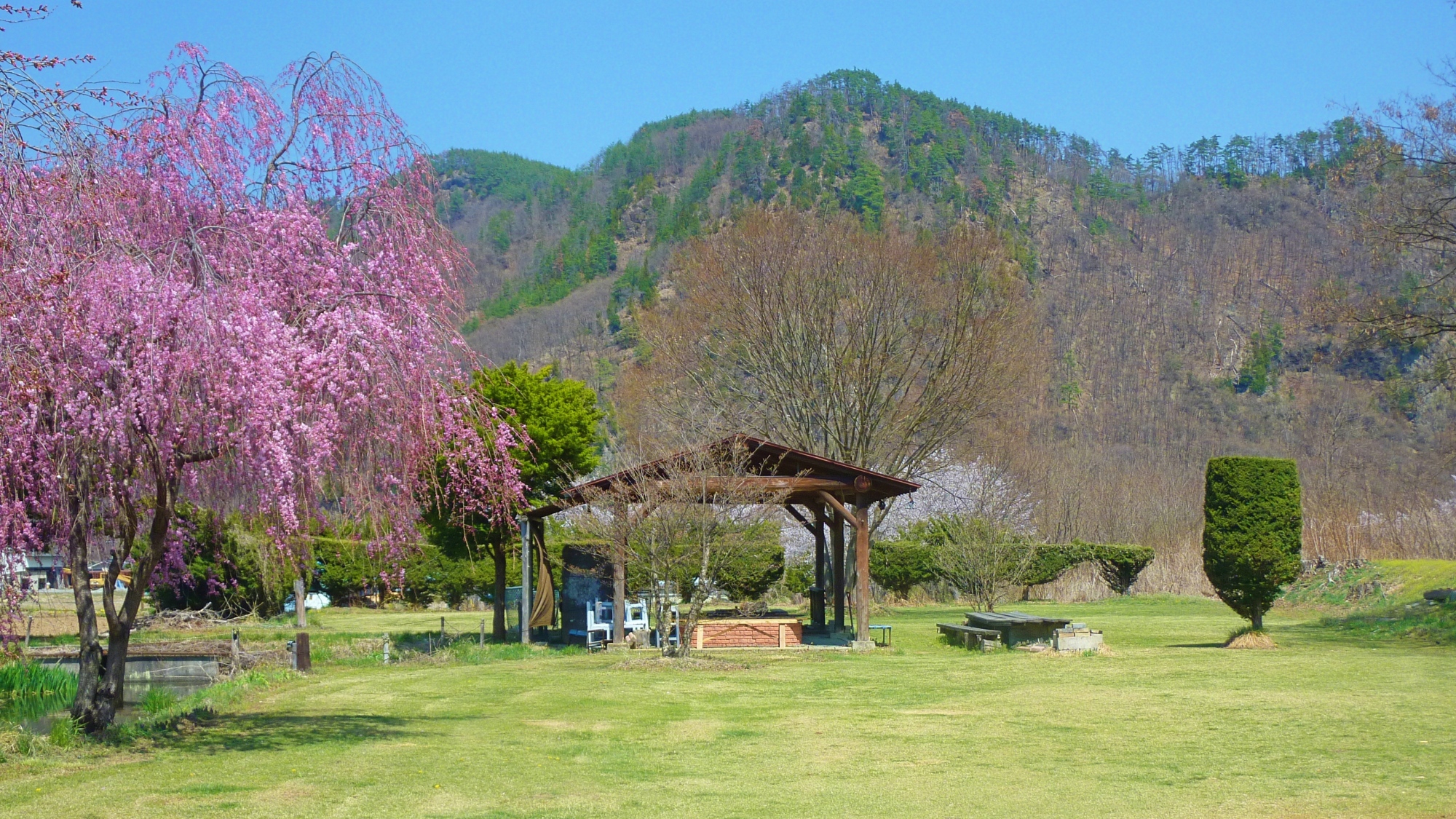 【施設】お花見もできる広々キャンプ場