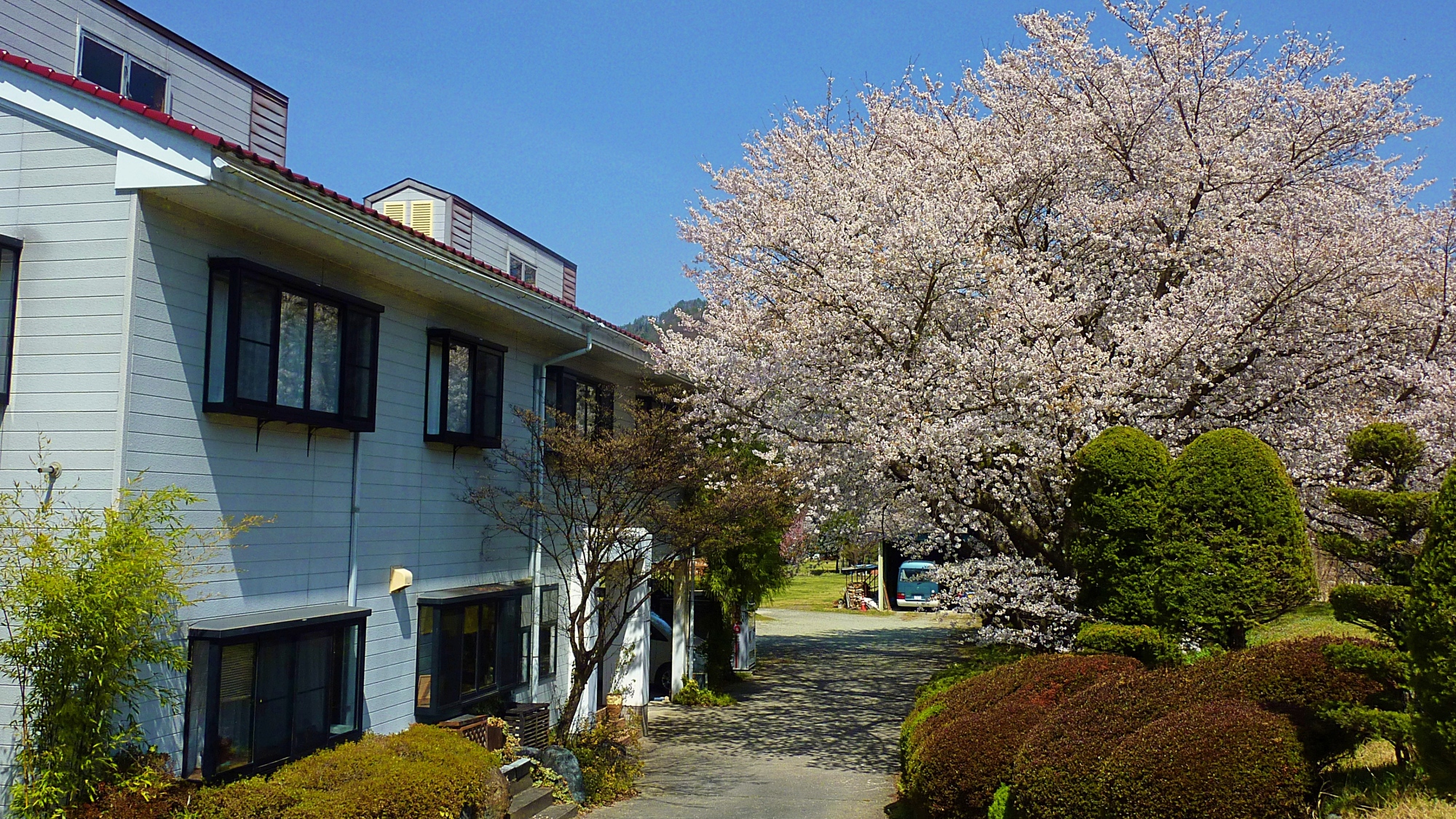 【外観】桜がお出迎え！春の様子