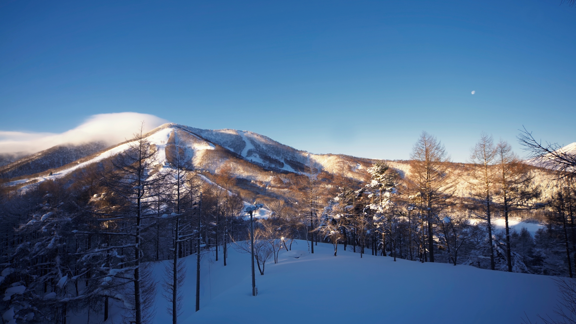 *斑尾高原スキー場/スキー場の朝の景色です。朝の澄んだ空気を感じながら思い切り楽しんでください！