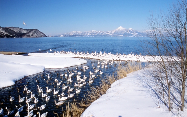 【冬限定！ゆったり滞在くつろぎプラン】12時レイトチェックアウト無料♪（素泊まり）