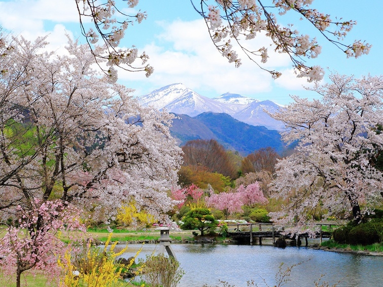 【春限定！！3つの特典付きプラン♪】朝食付き＆夜間駐車場1台無料＆12時レイトチェックアウト付き