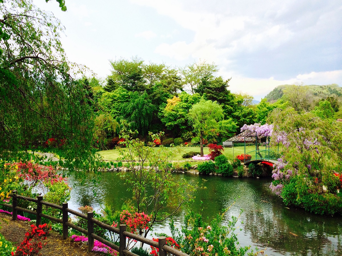 【観光】四季の里　緑水苑･･･約3万坪に及ぶ自然型池泉回遊式の花庭園。四季折々の花が楽しめます。