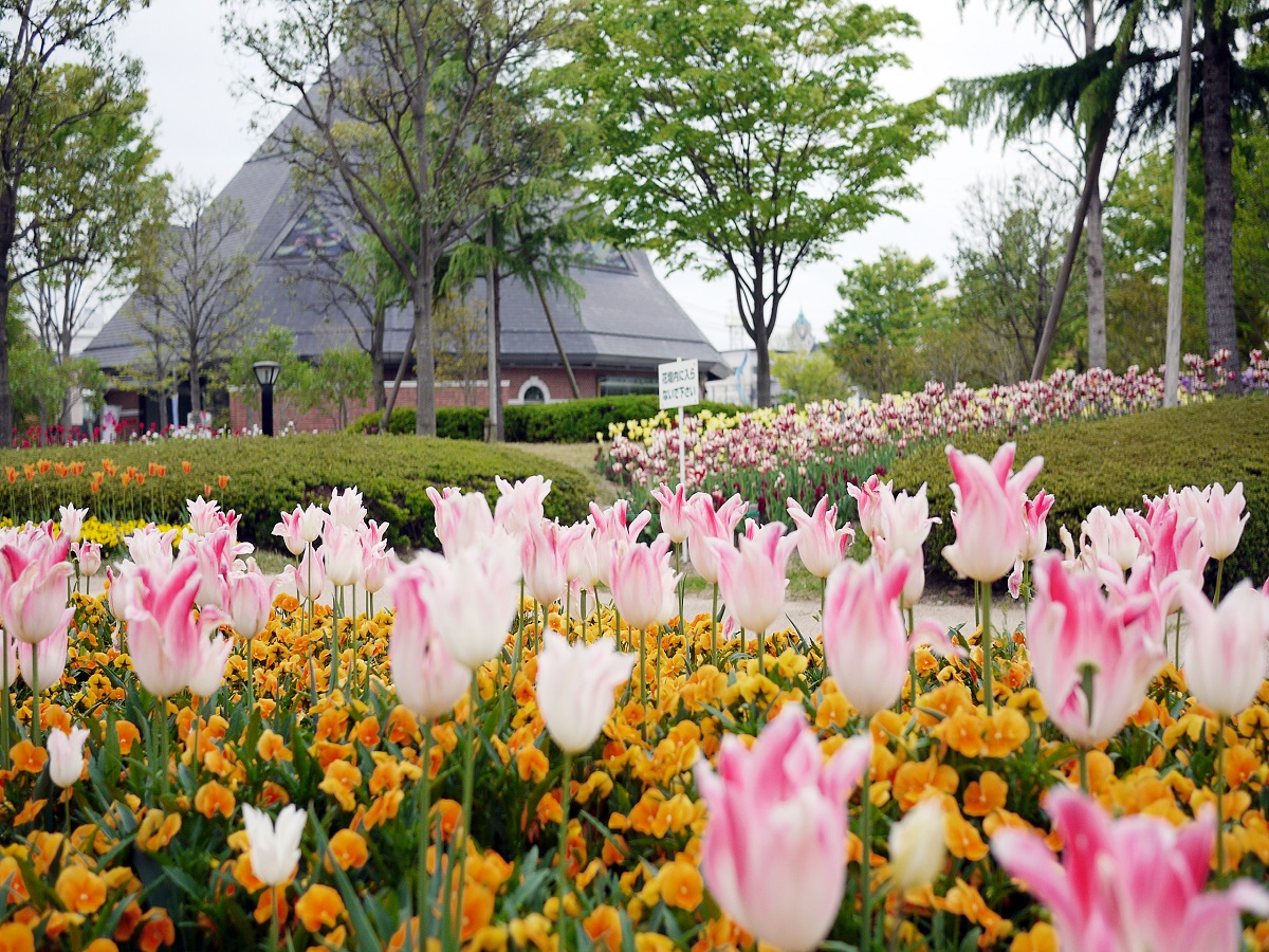 【観光】21世紀記念公園　麓山の杜･･･「花・緑・水」をテーマにした市民憩いの場。お散歩にぴったり。