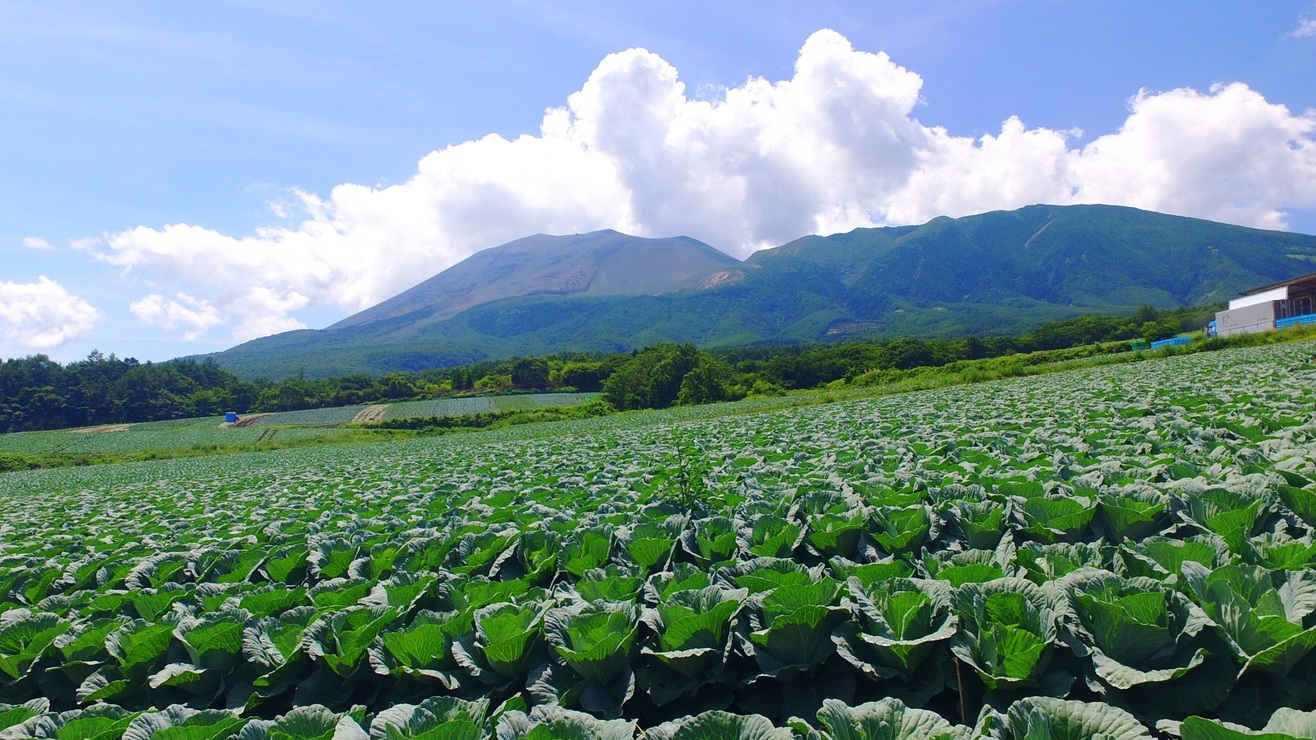 《基本プラン／1泊2食付》【地産地消推進店★認定】嬬恋ならではの優しい味覚に舌鼓