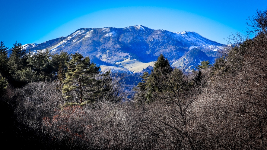 大谷池から望む白根山