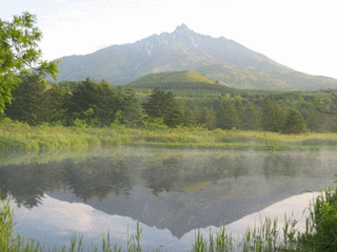 南浜湿原からの利尻山