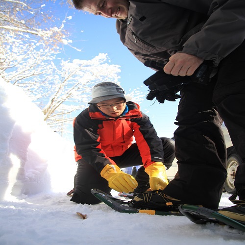 「佐渡島の金山」世界遺産登録1周年記念【白銀世界】1泊2食＆スノーシュー体験ツアー