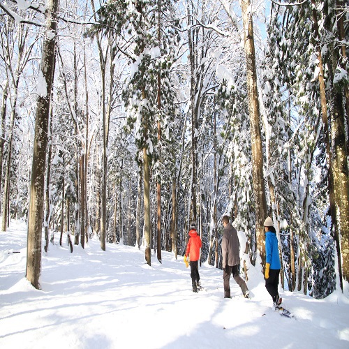 「佐渡島の金山」世界遺産登録1周年記念【白銀世界】1泊2食＆スノーシュー体験ツアー