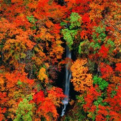 秋山郷　蛇淵の滝