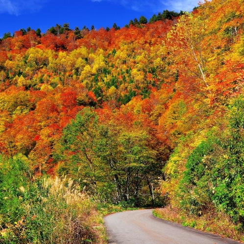 秋山郷の紅葉