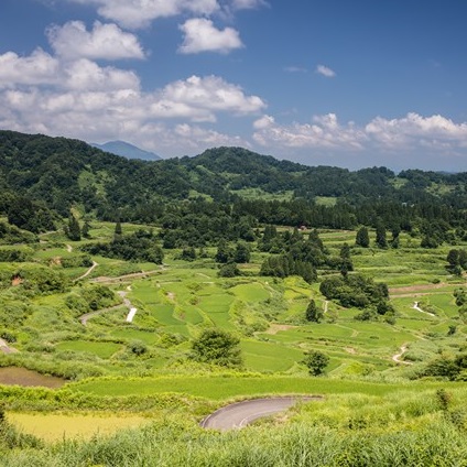 星峠の棚田