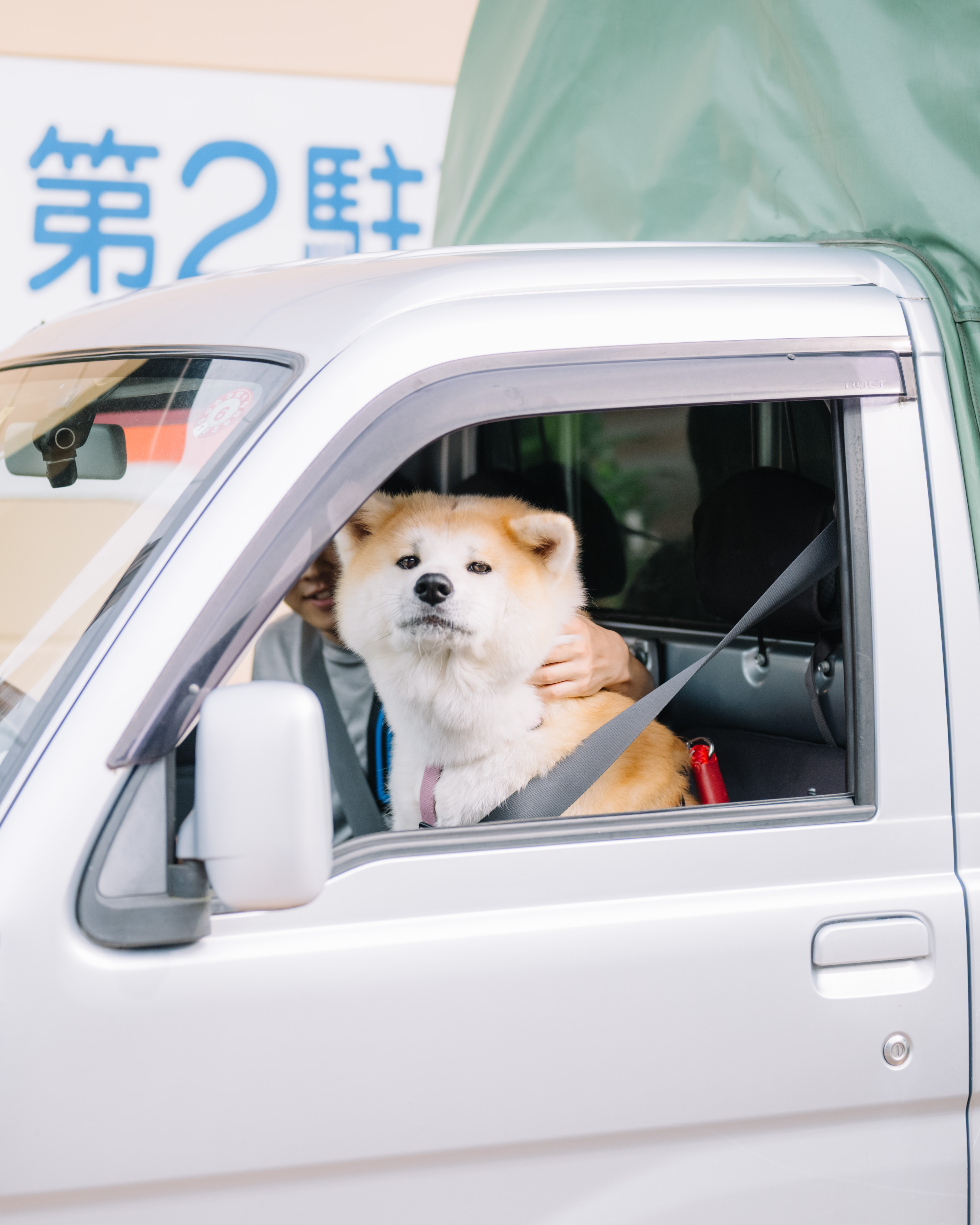 看板犬【姫】