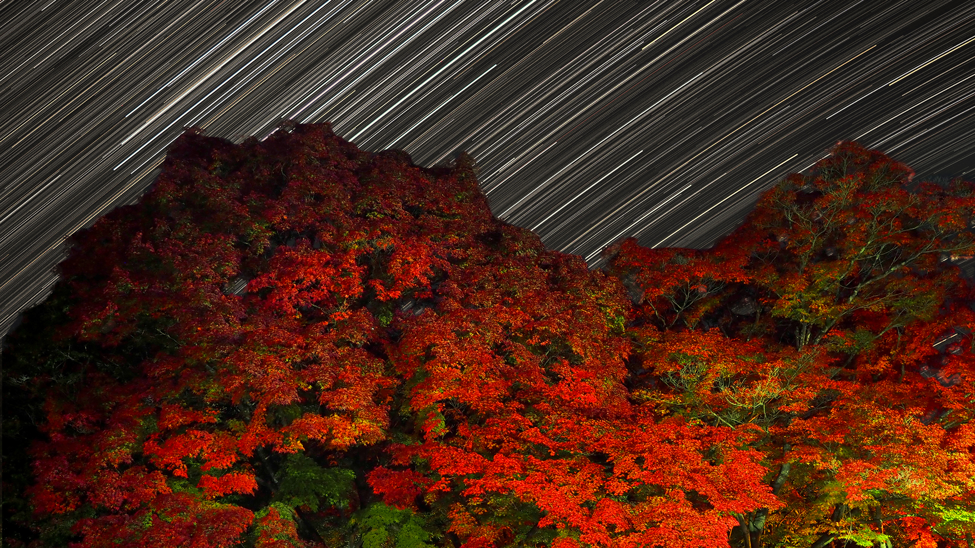 ■【イメージカット】