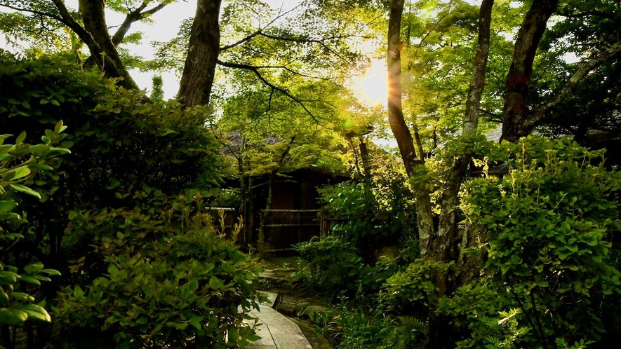 *【初夏】緑の木漏れ日の中、茅葺き屋根の風景