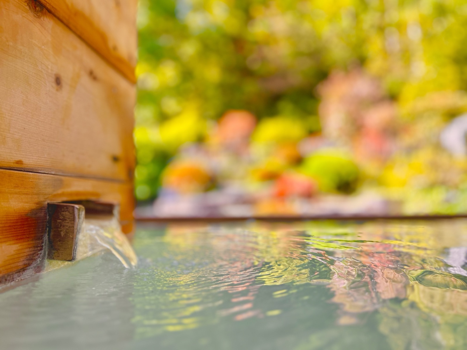 紅葉を見ながらの入浴は格別です。