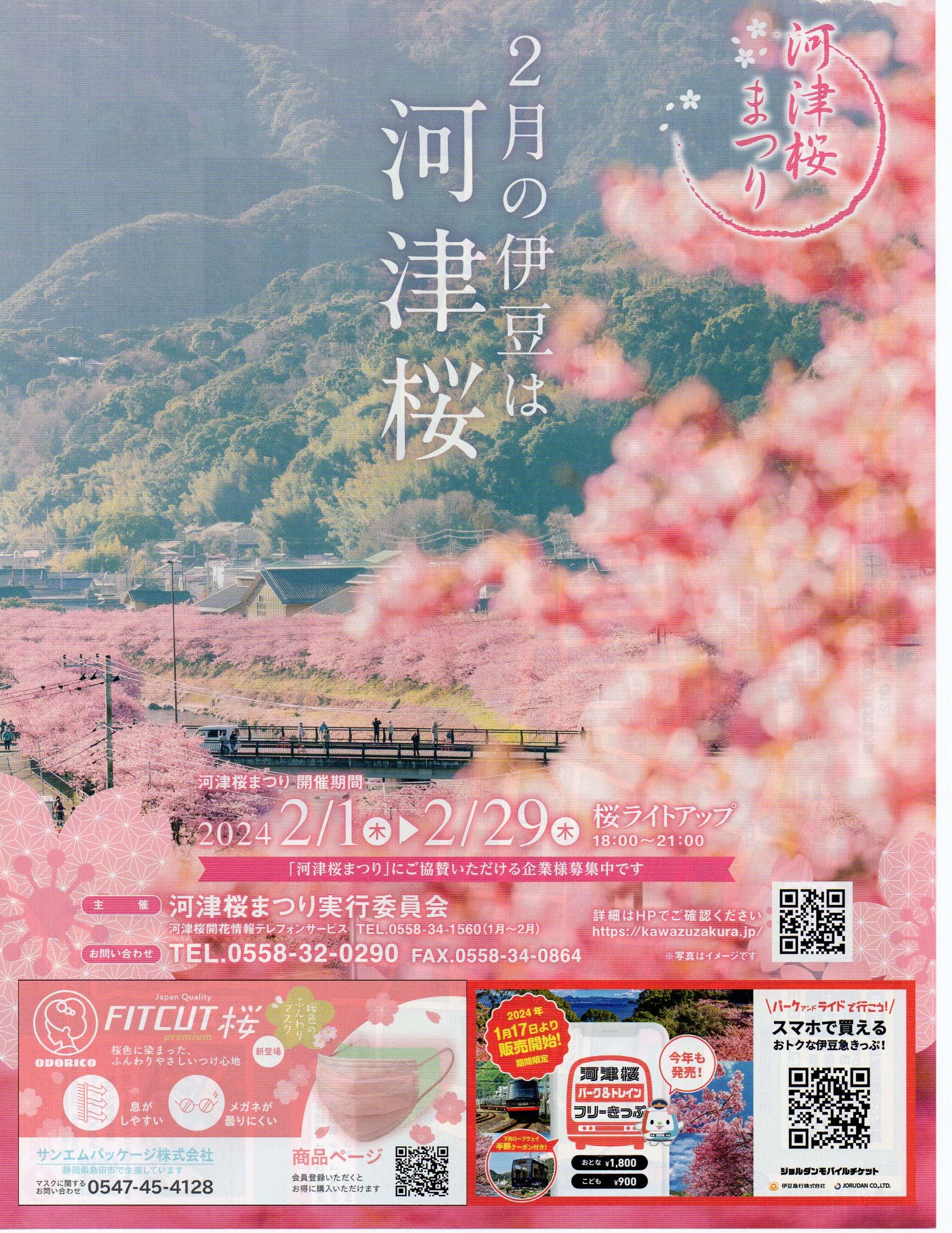 2024河津桜まつり