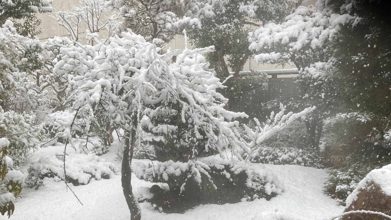 【冬旅しまね】【安来名物★どじょう】実は凄い？！栄養満点のどじょうで郷土料理を楽しもう♪